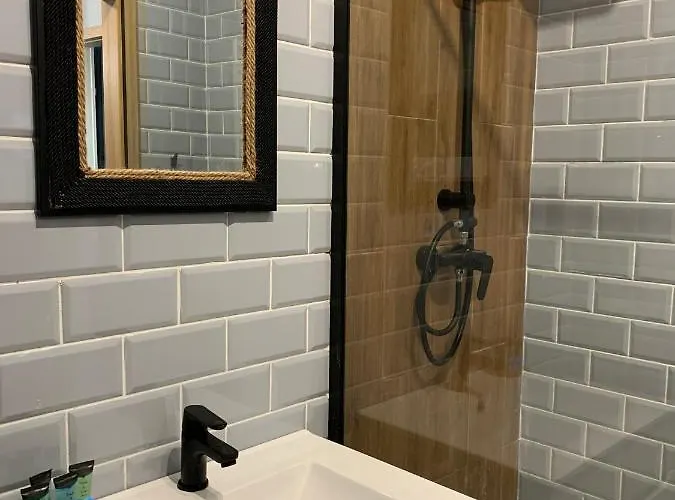 Apartment Tarnovia Loft *